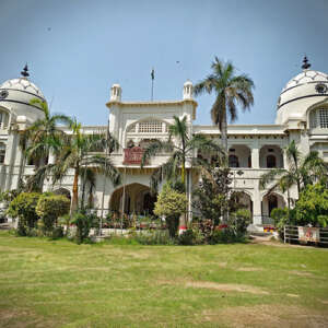 King Advert University