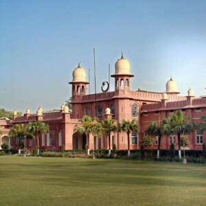 University of Agriculture Faisalabad