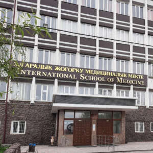 International Higher School of Medicine